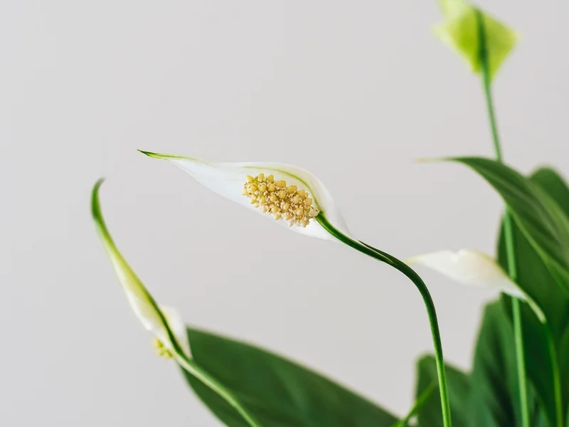 彩票平台PG电子平台